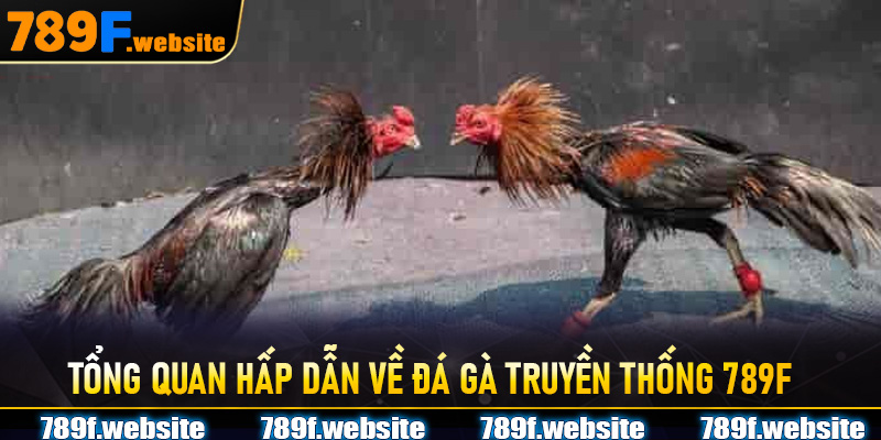 Tổng quan hấp dẫn về Đá Gà Truyền Thống 789F