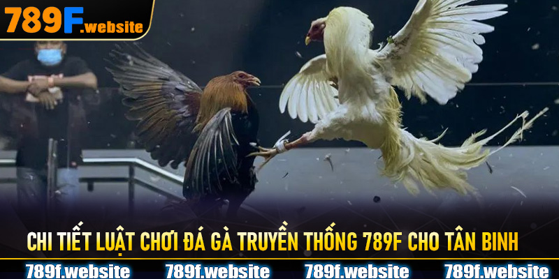 Chi tiết luật chơi Đá Gà Truyền Thống 789F cho tân binh
