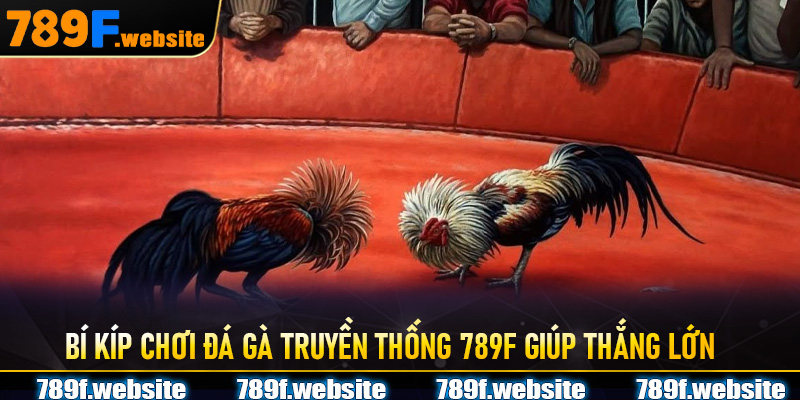 Bí kíp chơi Đá Gà Truyền Thống 789F giúp thắng lớn