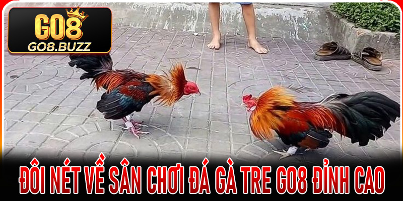 Đôi nét về sân chơi đá gà tre go8 đỉnh cao